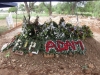 adam-ndlovu-grave