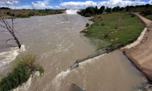 Floods, lightning claim 124 lives