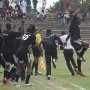 Highlanders players celebrate