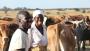 Zimbabwe 'Cattle Bank' takes deposits that moo