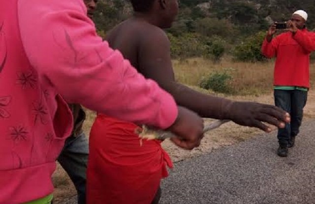 A woman from Gwatinyanya Village in Zvishavane who is believed to be a witch was last week caught stark naked near an Apostolic sect shrine.