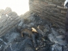 more-pictures-of-burnt-boy-in-headlands
