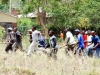 zanu-pf-youths-with-sticks
