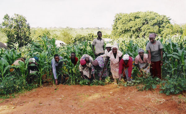 Zanu PF ban of NGO’s in Zimbabwe self defeating 