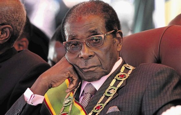 Flogging President Mugabe by Proxy