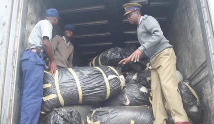 Southerton Police Station details display part of the 41 bags of mbanje found on a truck in Harare in January this year