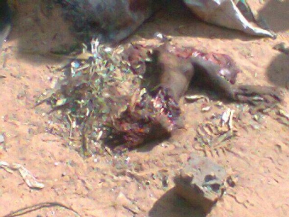 The bodies of the dead were burnt while their limbs were strewn all over the place covering a distance of up to 60 metres.