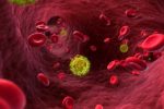 Danish scientists moving closer to HIV cure With modern HIV treatment if medication is stopped, HIV reservoirs become active and start to produce more of the virus
