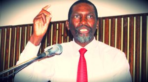 Former Minister in the Organ of National Healing, Reconciliation and Integration, Moses Mzila Ndlovu