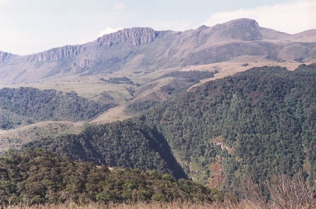 Nyanga National Park