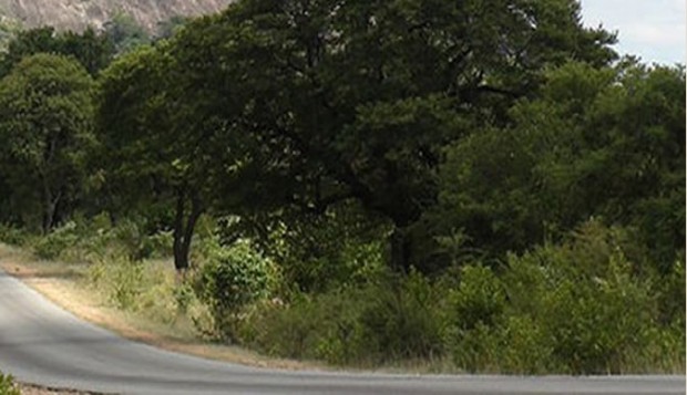 She remembers when the Ngundu-Tanganda highway was still a forest