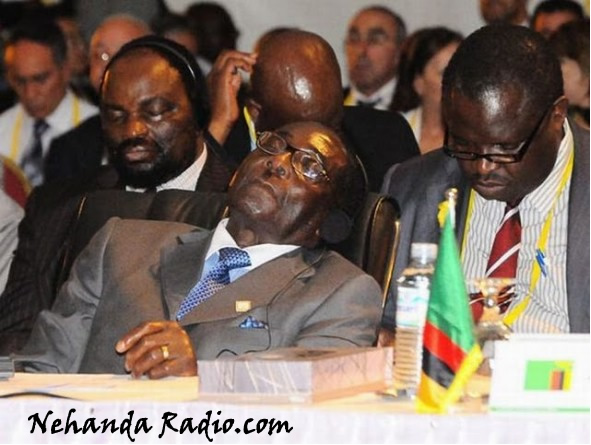 Mugabe rumored to have collapsed