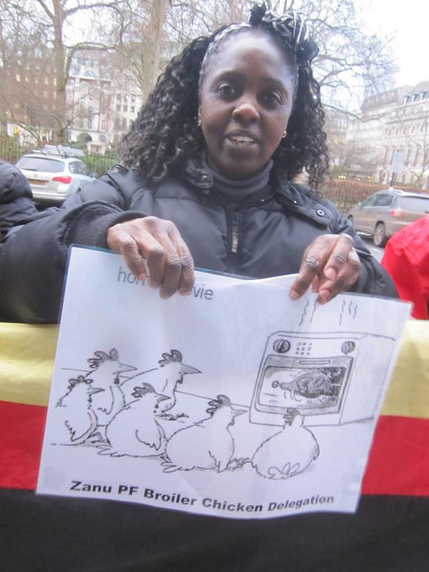 A Zimbabwe Vigil protester  makes her point
