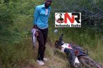Pardoned prisoner bashed after stealing motorbike (Citizen Pictures)