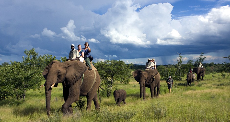 Elephant safaris in Zimbabwe