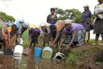 A dig at Zimbabwe’s untrusted waters Residents of Hatcliffe Extension in Harare fill their buckets from a pond, as the city cannot supply enough potable water. (Zimphoto)