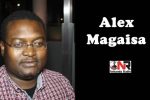 Why does Mugabe keep ‘lazy’ ministers? Dr Alex Magaisa