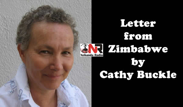 Letter from Zimbabwe by Cathy Buckle