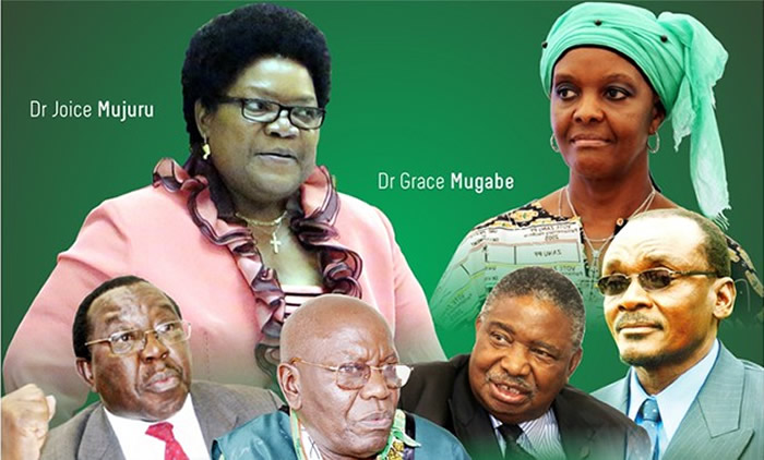 Zanu PF court fight imminent