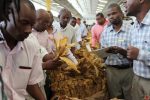 Zanu PF, China and Rhodesians: Who really is pimping Zimbabwe’s tobacco industry? Zimbabwe tobacco industry at a crossroads