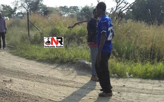Zanu PF yobs are allegedly attacking indiscriminately any person remotely linked to independent candidate Temba Mliswa — including his workers