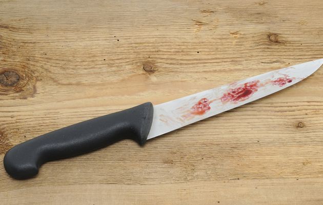 Hubby stabs wife for snubbing rural home