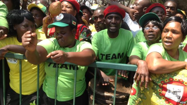 President Robert Mugabe's Zanu PF party has been ravaged by factionalism.