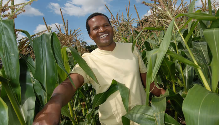 File picture of David Mwanaka at his first farm in the UK