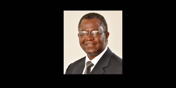 Fidelity Life Assurance Limited (Fidelity) chairman Lawrence Tamayi