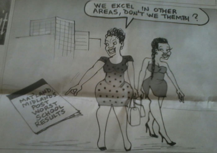 Chronicle suspends cartoonist over ‘sexist’ cartoon with ‘tribal undertones’