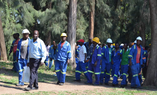 File picture of striking Tongaat Hulett workers at Hippo Valley Estates