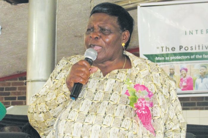 Minister of State for Provincial Affairs for Masvingo Shuvai Mahofa said the national lands committee was seized with the matter and a verdict to move or not to move the families will be known in a few weeks’ time