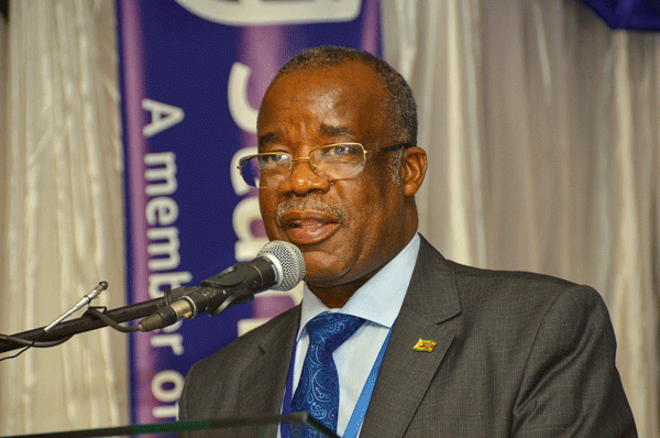Secretary for Mines and Mining Development Professor Francis Gudyanga