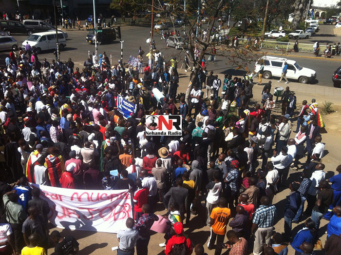 demos in harare 3