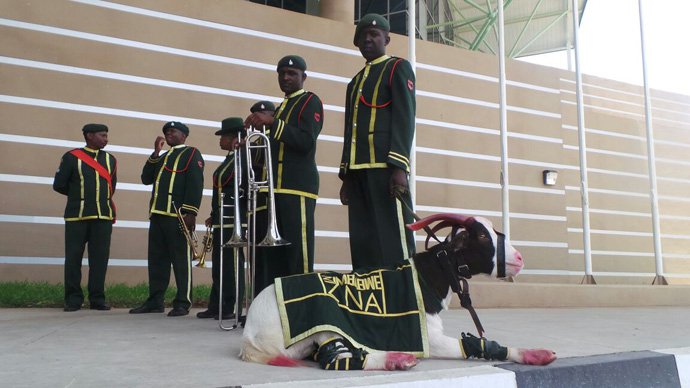 Even Private Moyo, the famous goat from the ZNA band is here