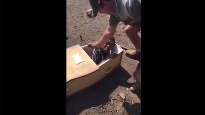 man-in-coffin