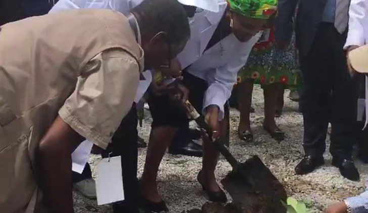 First Lady Grace Mugabe takes over tree planting from the ailing President Robert Mugabe