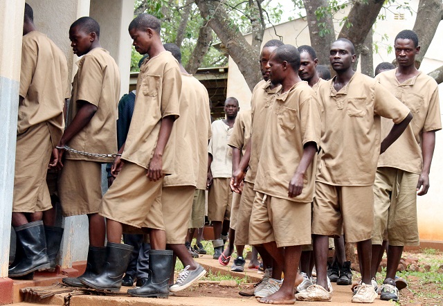 File picture of part of 40 nabbed illegal miners arriving at the Inyathi circuit court in Bubi District