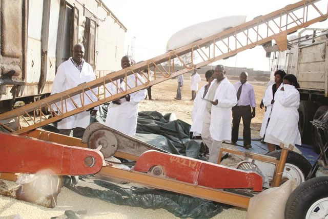Grain Marketing Board staffers watch as bags of maize are loaded from a rail wagon to a haulage truck in this file photo