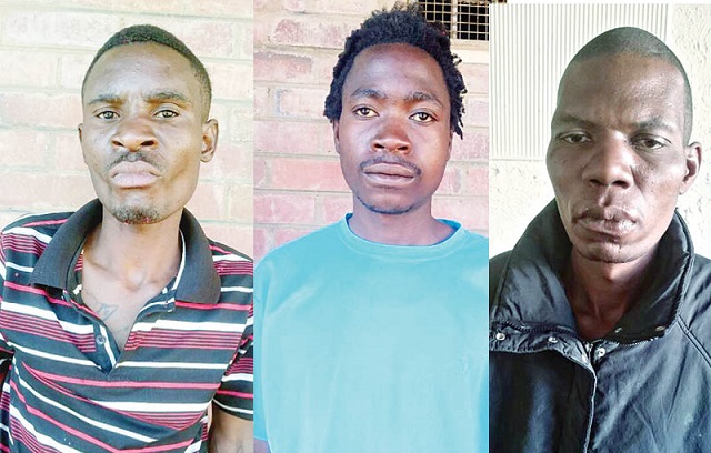 (From left)Tedious Sibanda, Godknows Moyo and Mandla Ndlovu