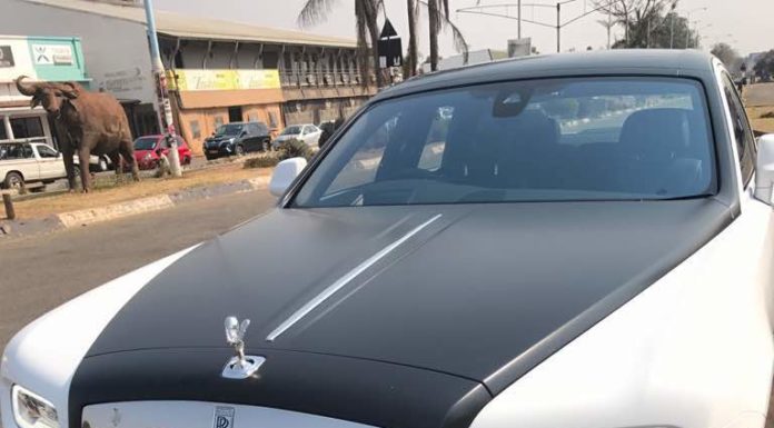 Grace Mugabe’s oldest son, Russell Goreraza, 33, from her first marriage, imported two Rolls Royce limousines into bankrupt Harare on Sunday.