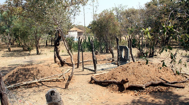 The graves of the Sibiya family members in Bubude, Tsholotsho