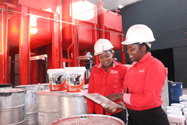 Nash Paints staff at the new plant in Graniteside