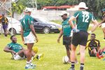 Cheetahs World Cup preparations begin