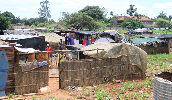 A sprawling squatter camp sits next to the affluent Gunhill suburb in Borrowdale