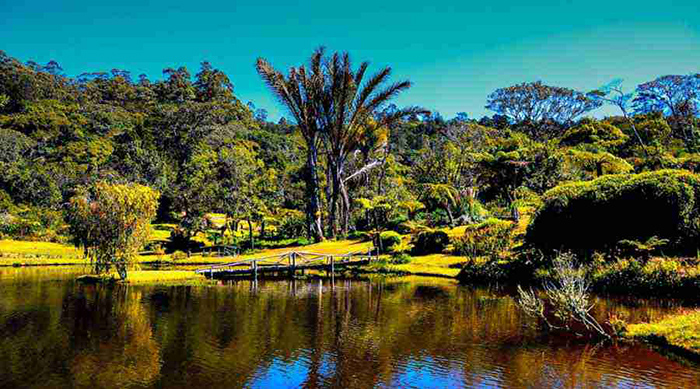 Vumba Botanical Garden