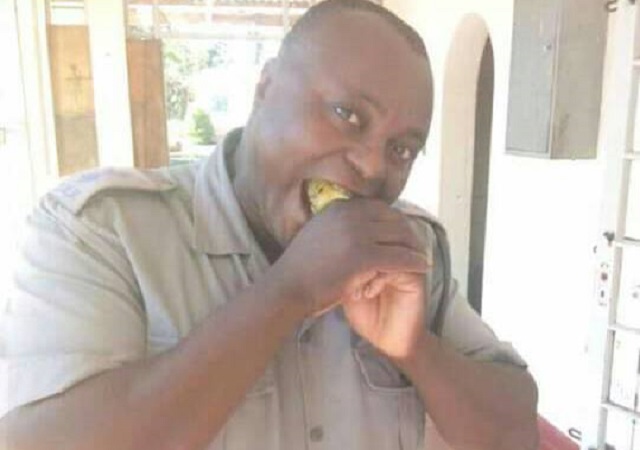 Inspector Ginger Vhiyano