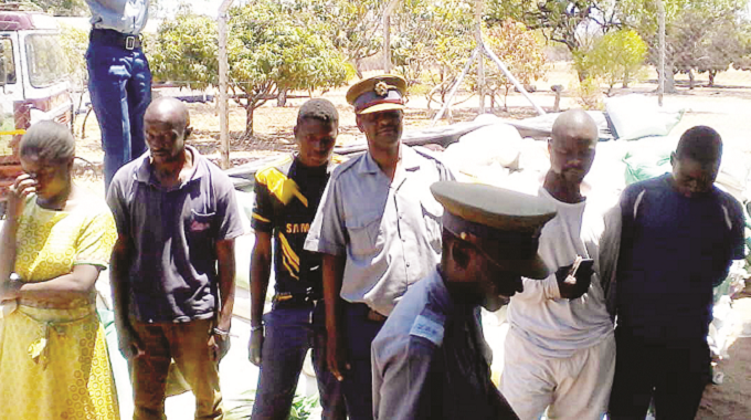 Police with the Presidential Inputs theft suspects in Binga recently