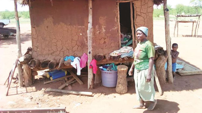 Mrs Elizabeth Sibanda of Vutete Village in Mwenezi West stands in front of a granary in which she now sleeps after her houses were damaged by strong winds recently