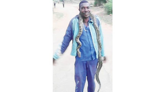 Police officers at Esigodini police station were left shell shocked when a man brought his snake in a bid to dump it there
